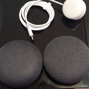 Two google home minis